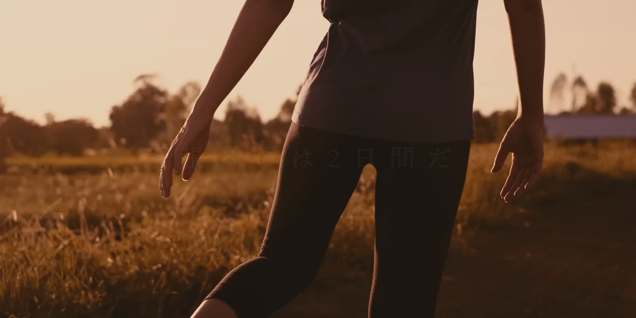 動画を読み込む: 